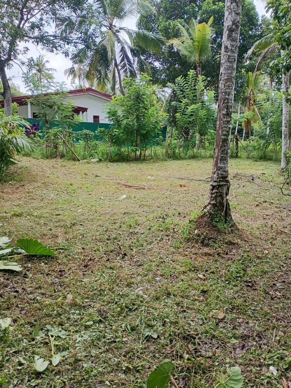 පොල්ගස්ඕවිට ආසන්නව වටිනා ඉඩමක් ඉක්මනින් විකිණීමට ඇත