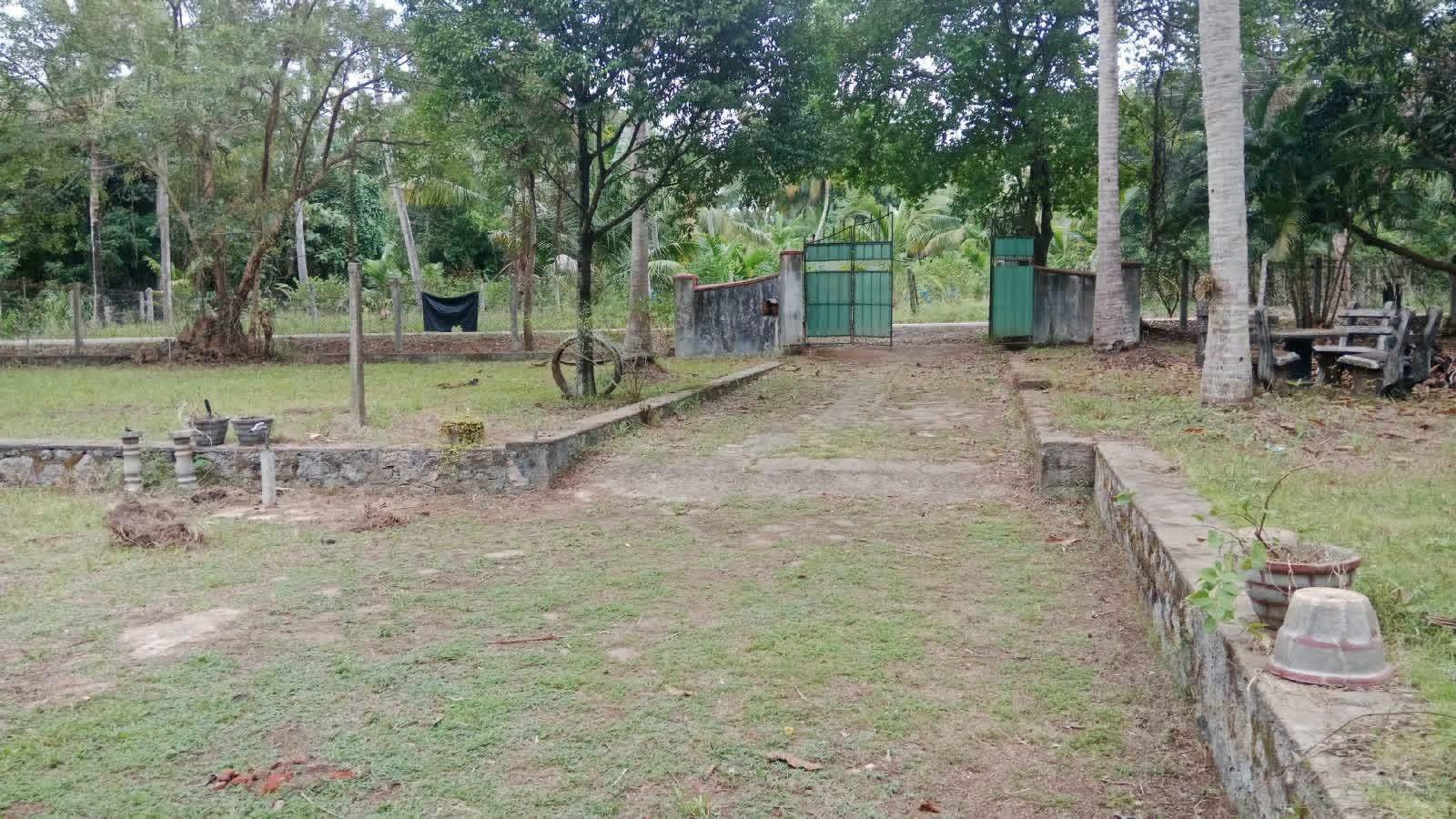 ඉඩමක් ඉක්මණින් විකිනීමට