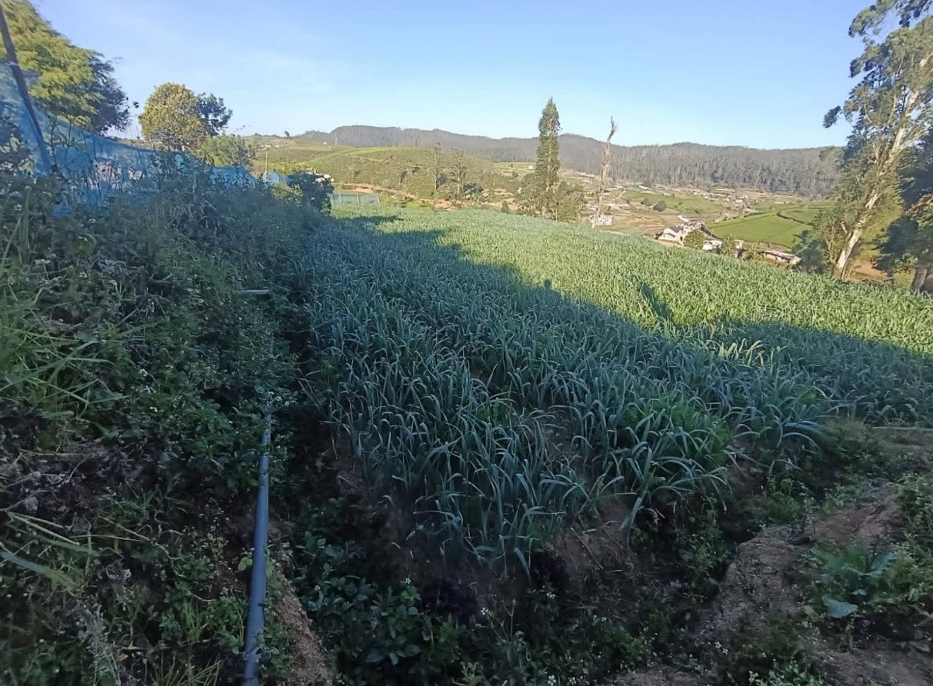 18 perch land for sale Kandapola