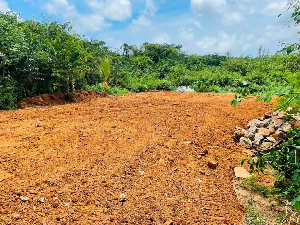 හොරපේ දුම්රිය ස්ථානය අසලම හතරැස් පර්චස් 10ක් ඉඩමක් විකිණීම ඇත