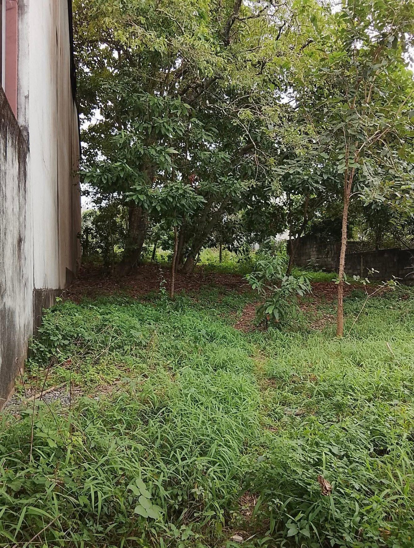 10.95P Superb Residential Land for Sale – Malabe