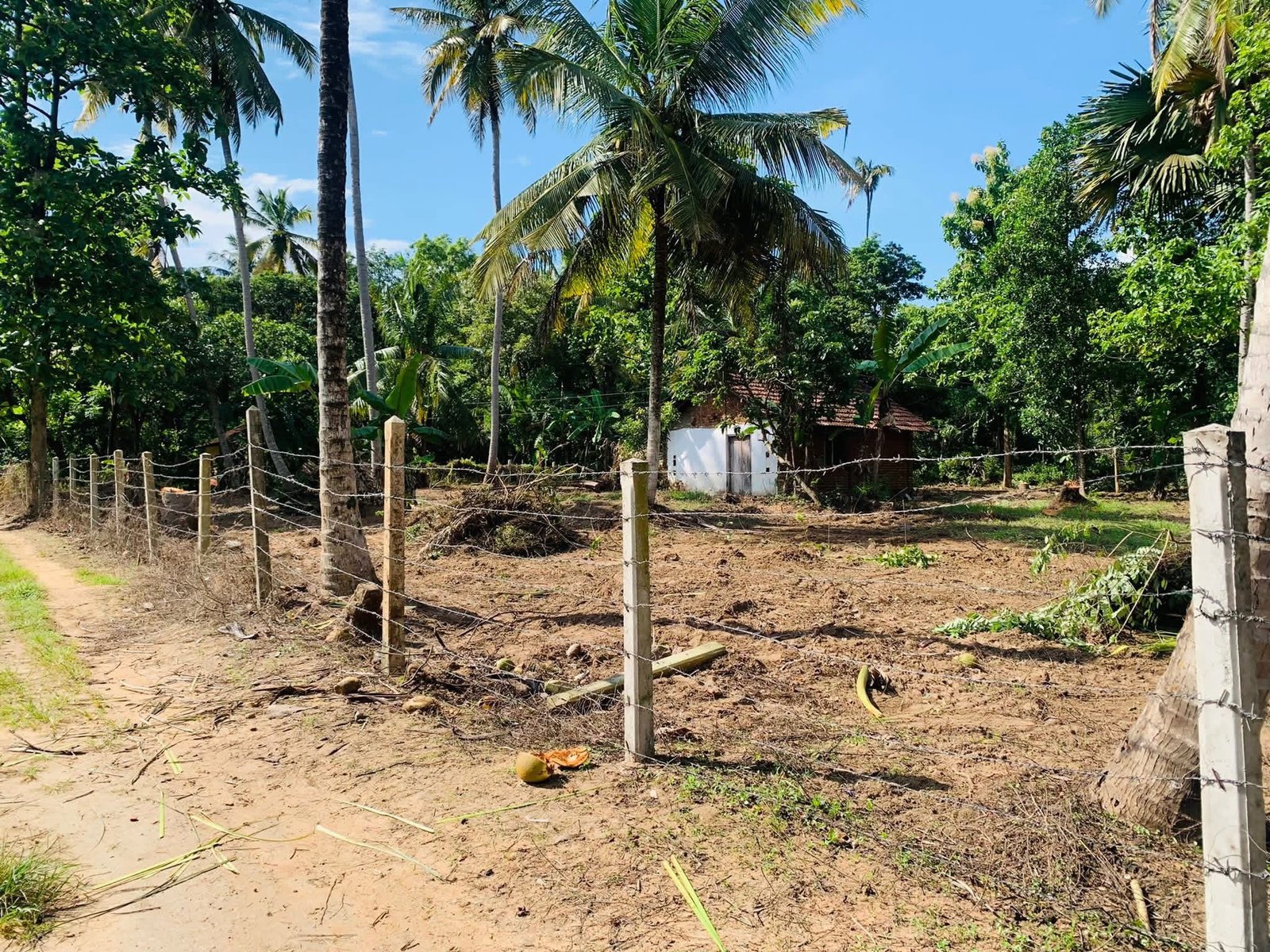 නාරම්මල නගරයට යාබදව සින්නක්කර ඔප්පු සහිත ඉඩමක් විකිනීමට.