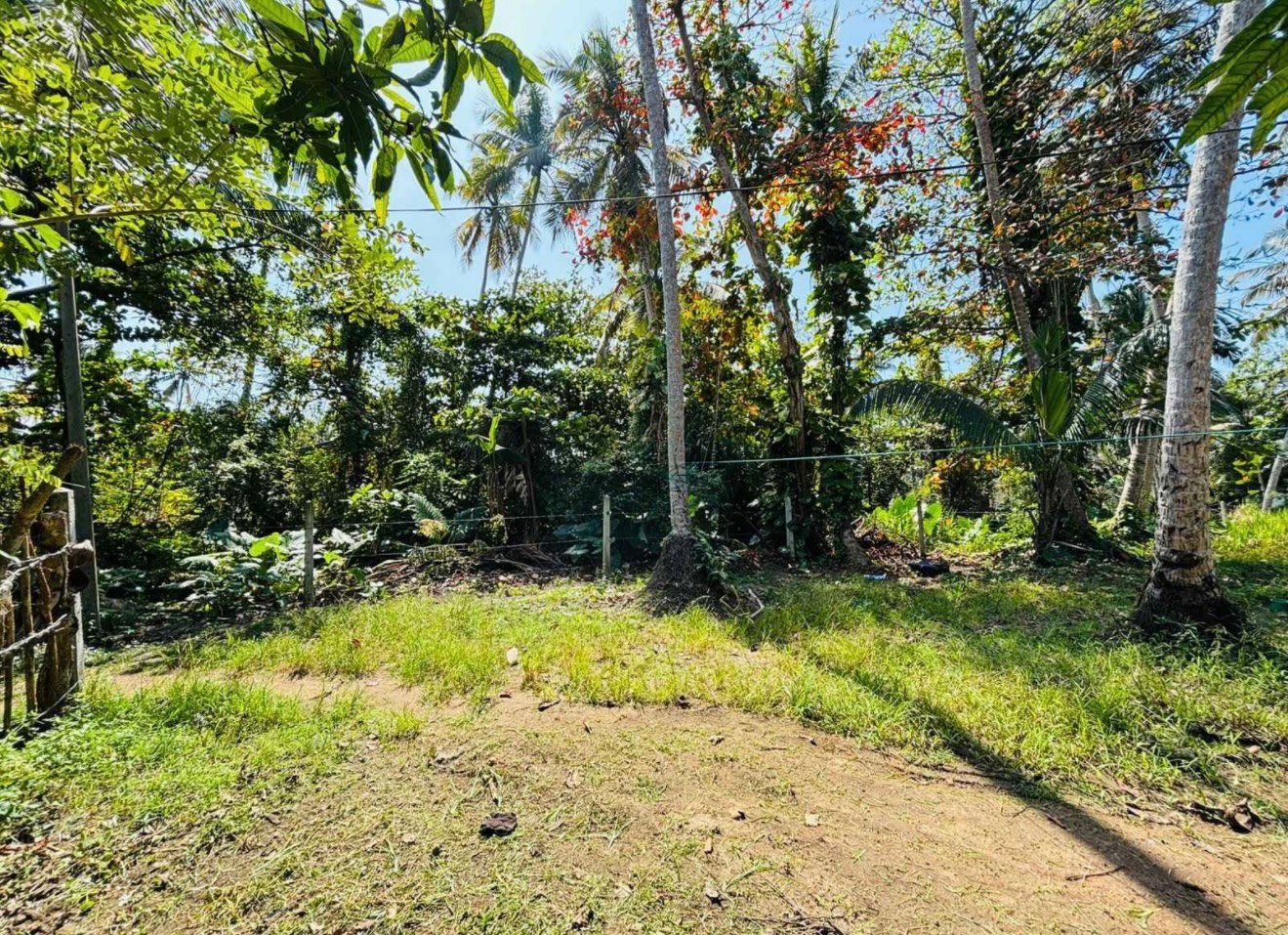 හික්කඩුවට ආසන්නයෙන් වටිනා ඉඩමක්