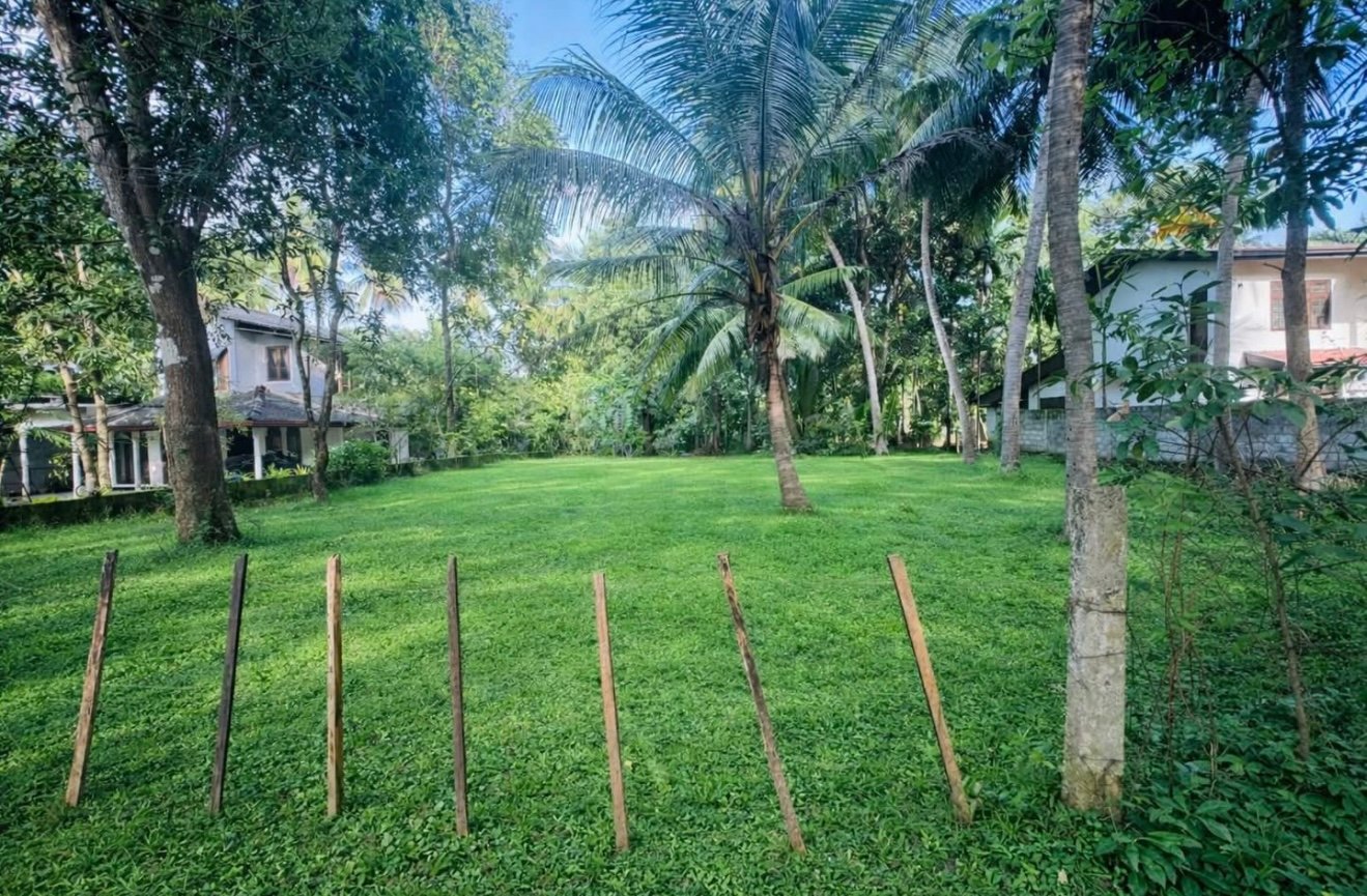 පොලොන්නරැව නවනගරයේ ඉහල වටිනාකමකින් යුත් ඉඩමක් ඉතා ඉක්මනින් විකිනීමට ඇත