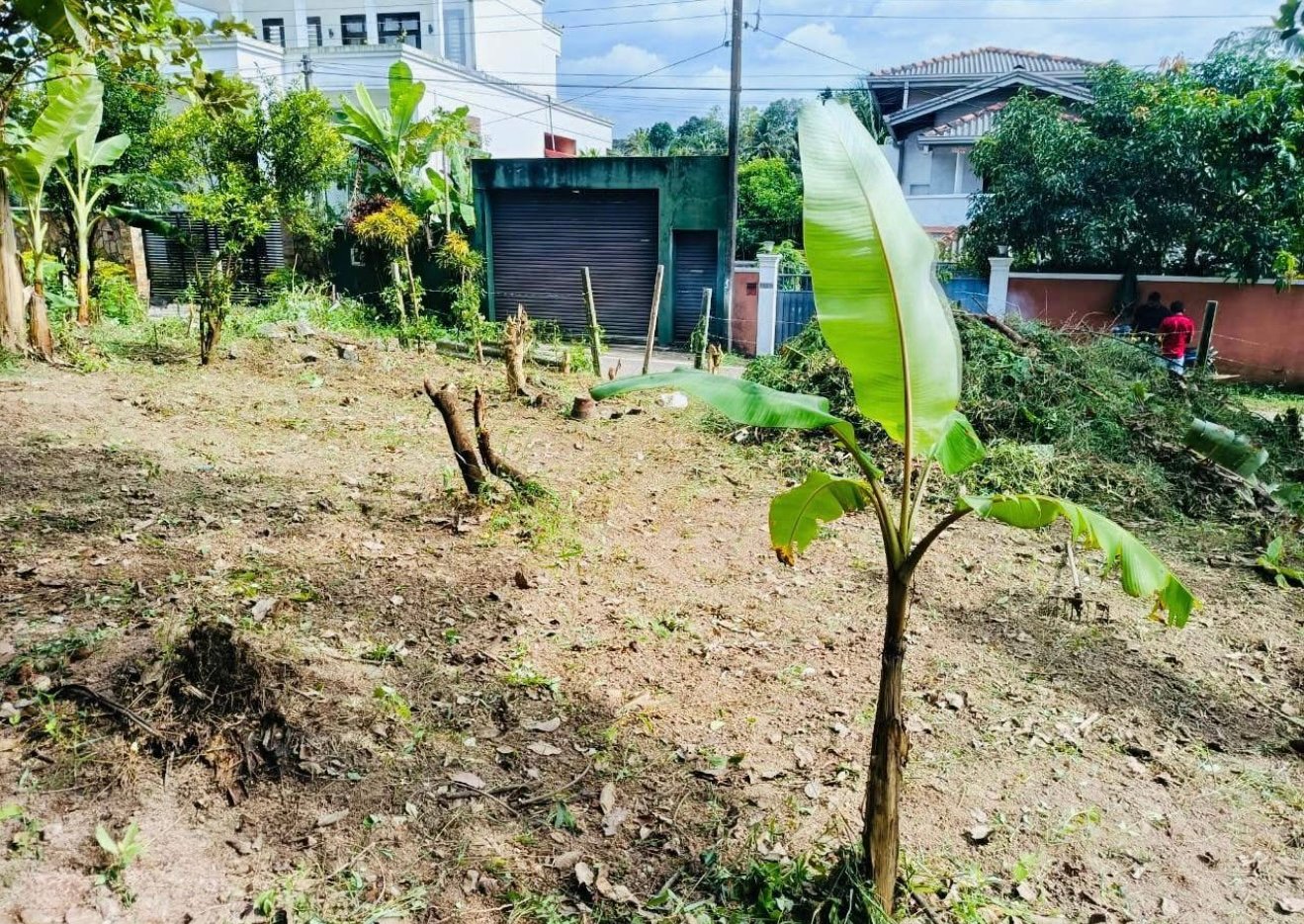 පොල්ගස්ඕවිට – ඉඩමක් විකිණීමට