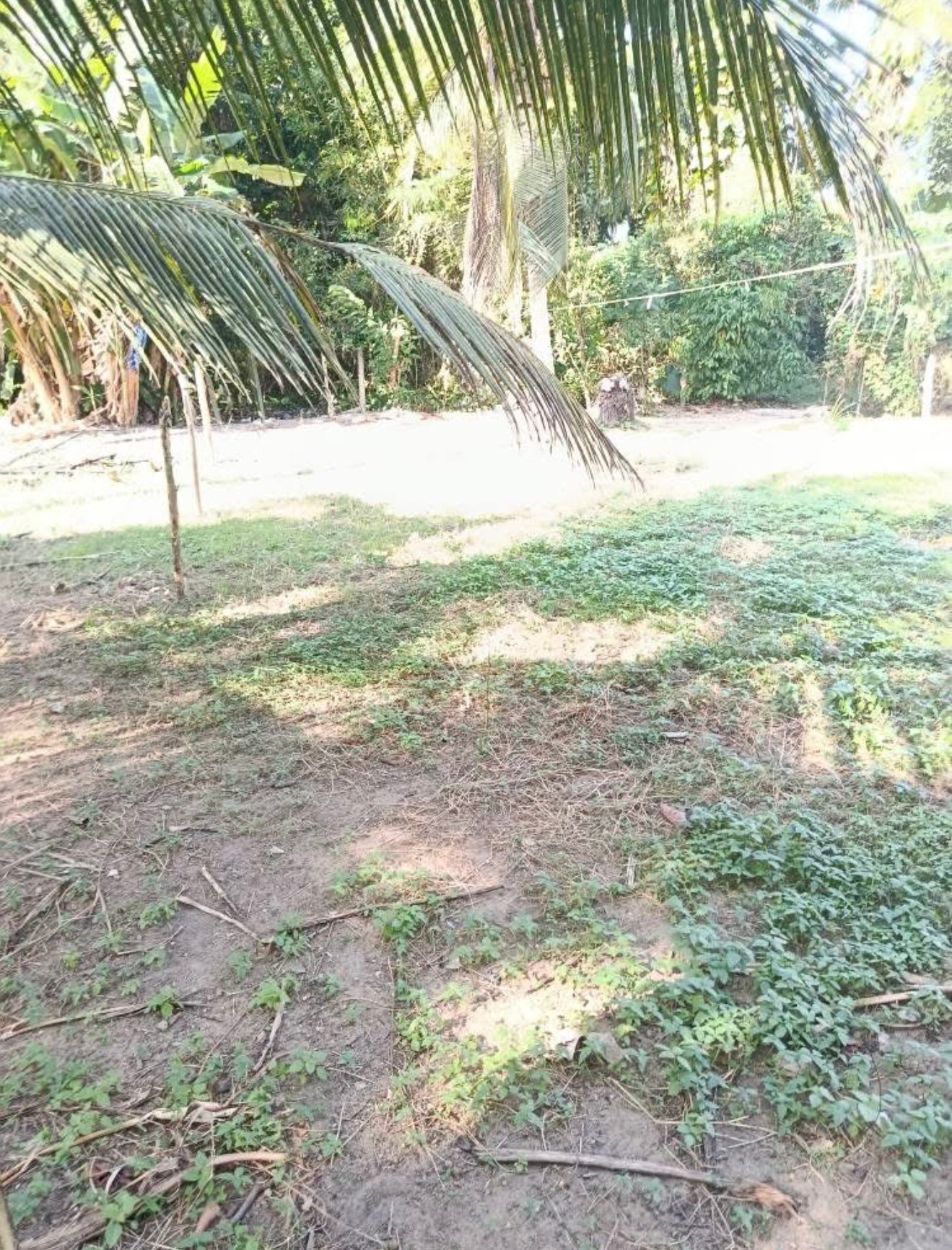 පර්චස් 6 හා 10 ඉඩම් කැබලි 2ක් විකිනිමට