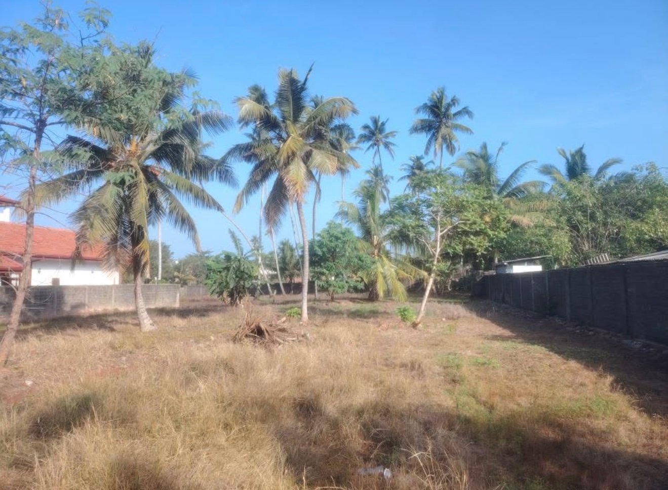 මිගමුව එක්තුකාල කට්ටුව කොලබ පාරට  මිටර් 400යි වෙරලතිරයට මිනුත්තු 5යි.