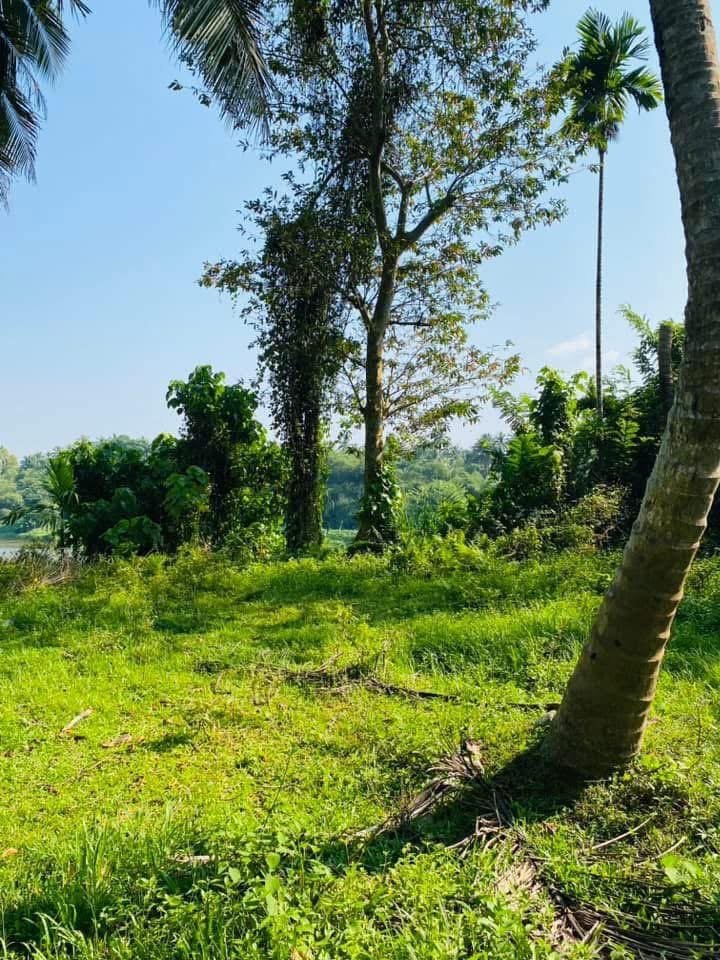 හංවැල්ල සමනබැද්ද අක්කර 2.45 ක ඉඩම