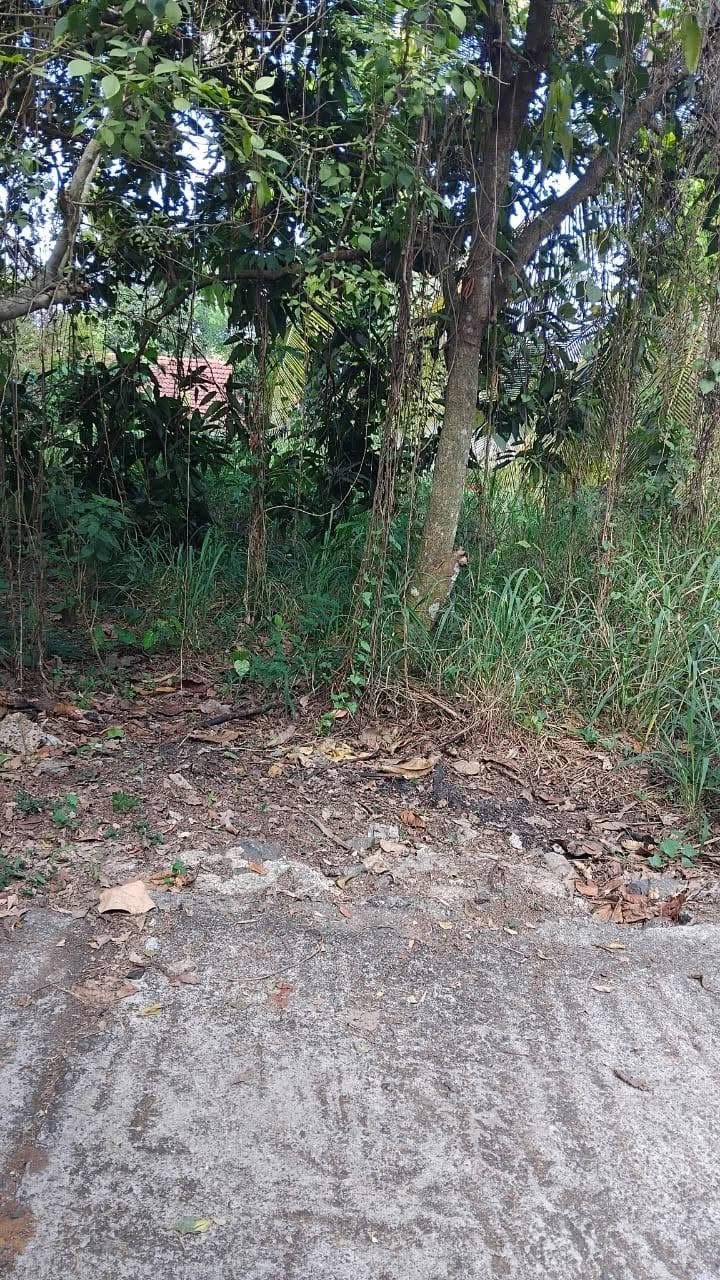 රාගම නගරයේ හොරපේ  ස්ටේෂන් එකට ආසන්න පර්චස් 10