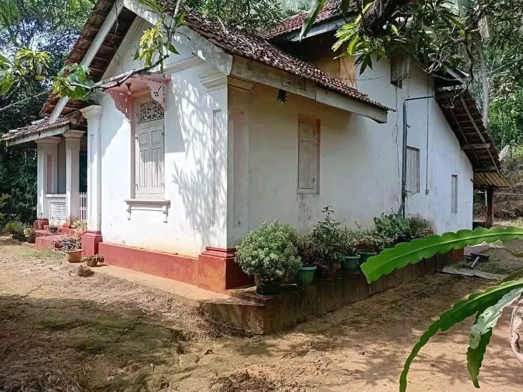 පදිංචියට හෝ ආයෝජනයකට කදිම නිස්කලංක වටිනා ඉඩමක්
