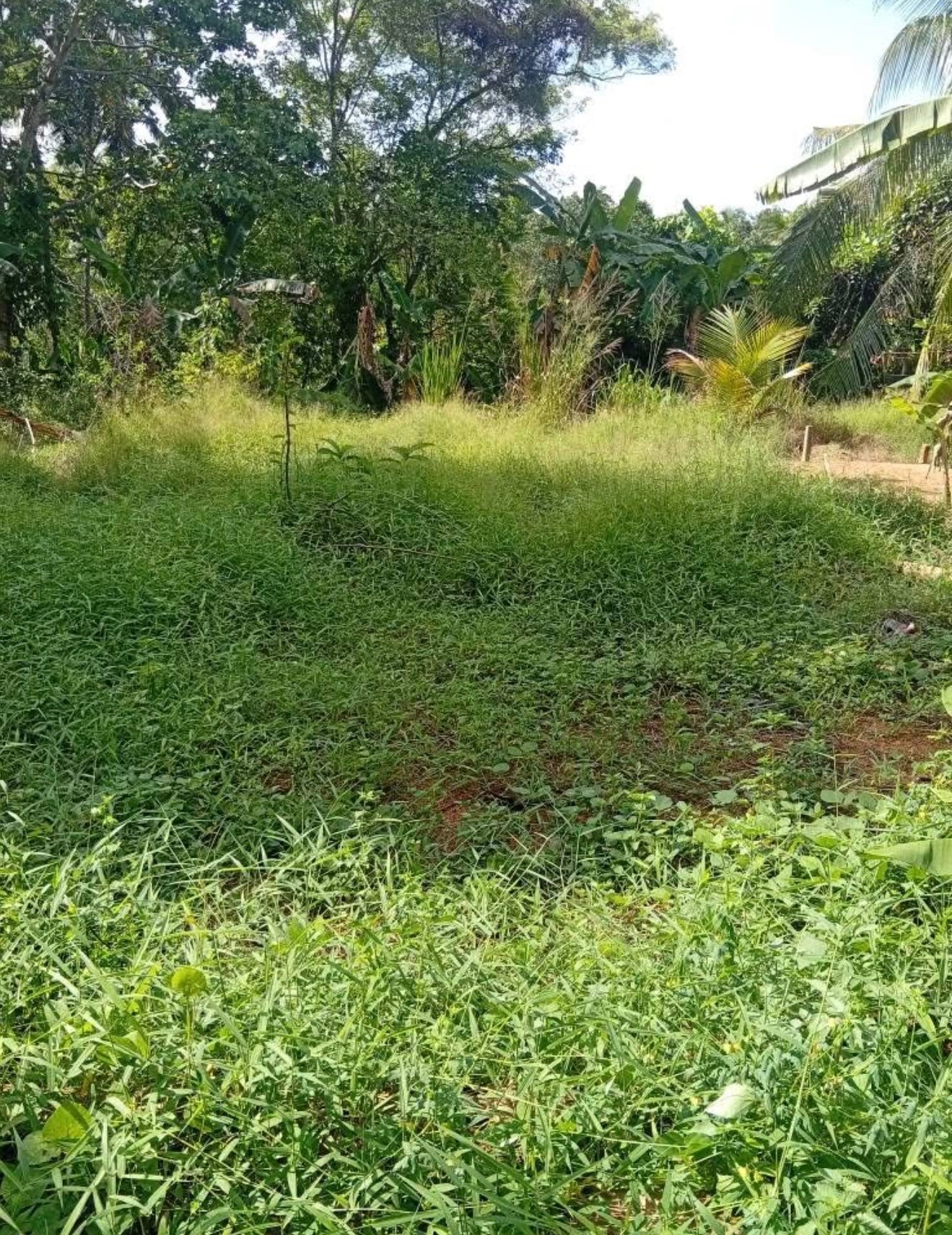 පර්චස් 15 ක වටිනා ඉදමක් විකිනීමට