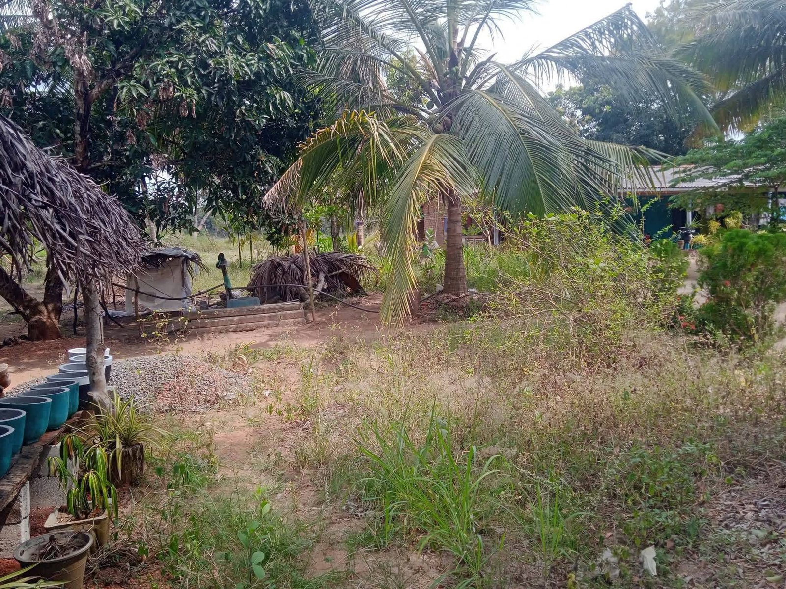 3.5 acres land and home for sale