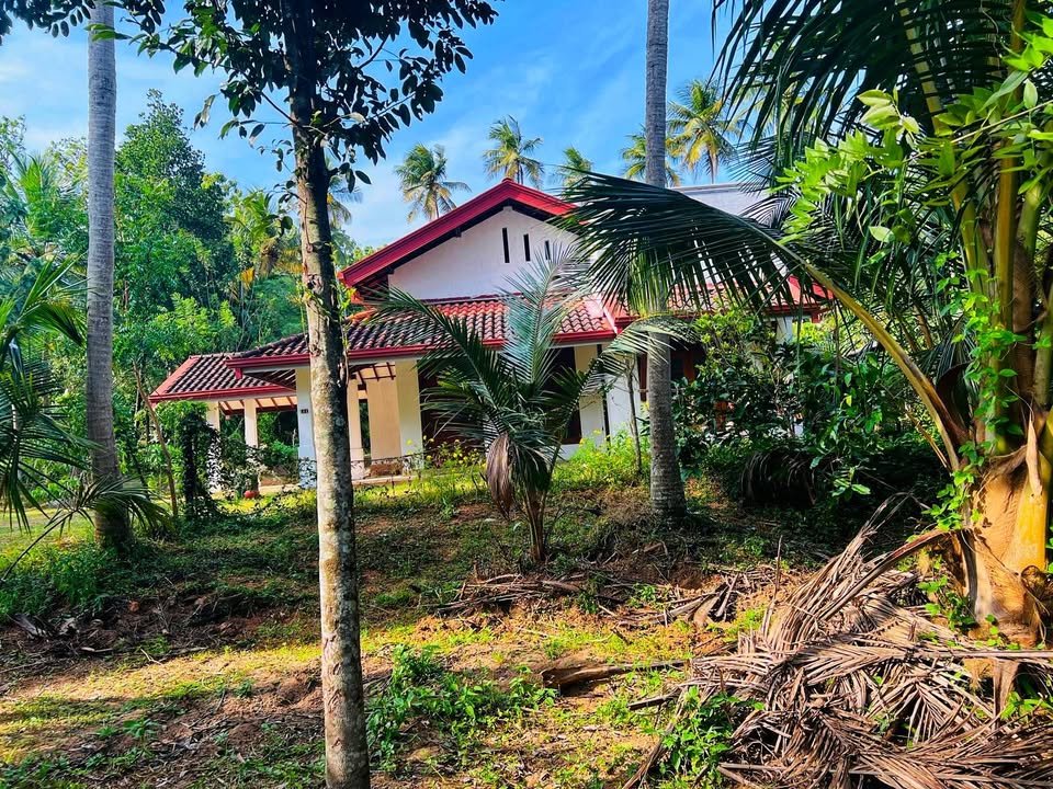 Large 133 perches land for sale with new house near Kuliyapitiya