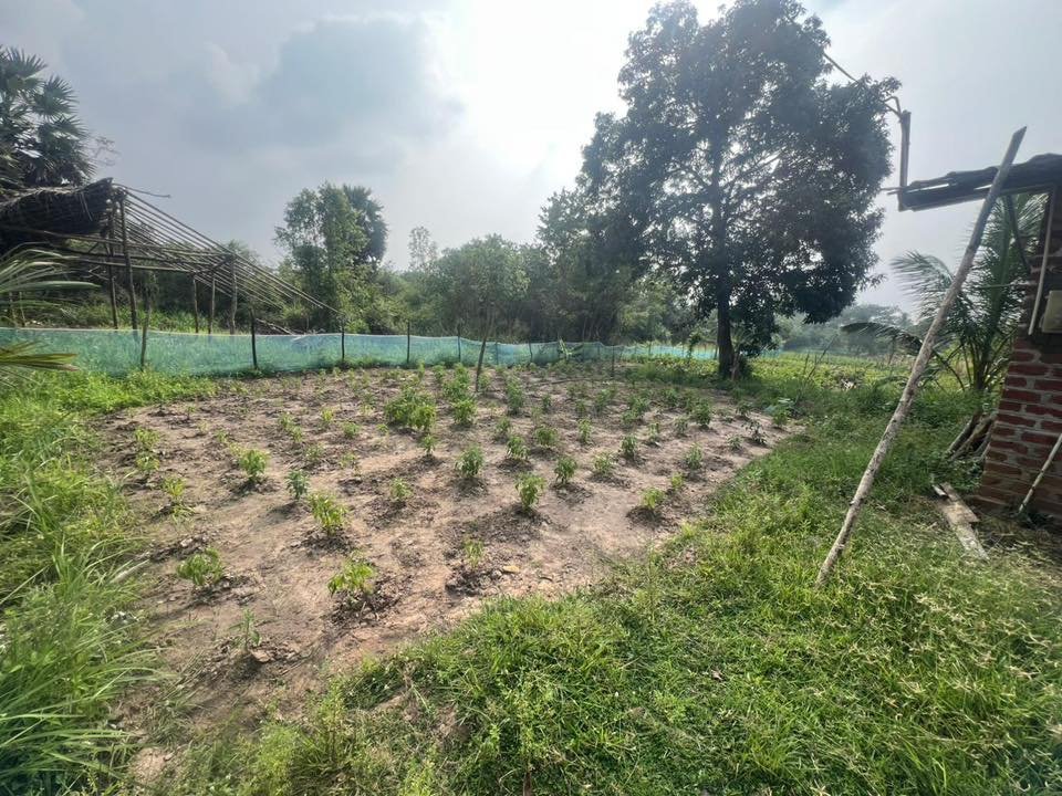1 acre farm land for lease