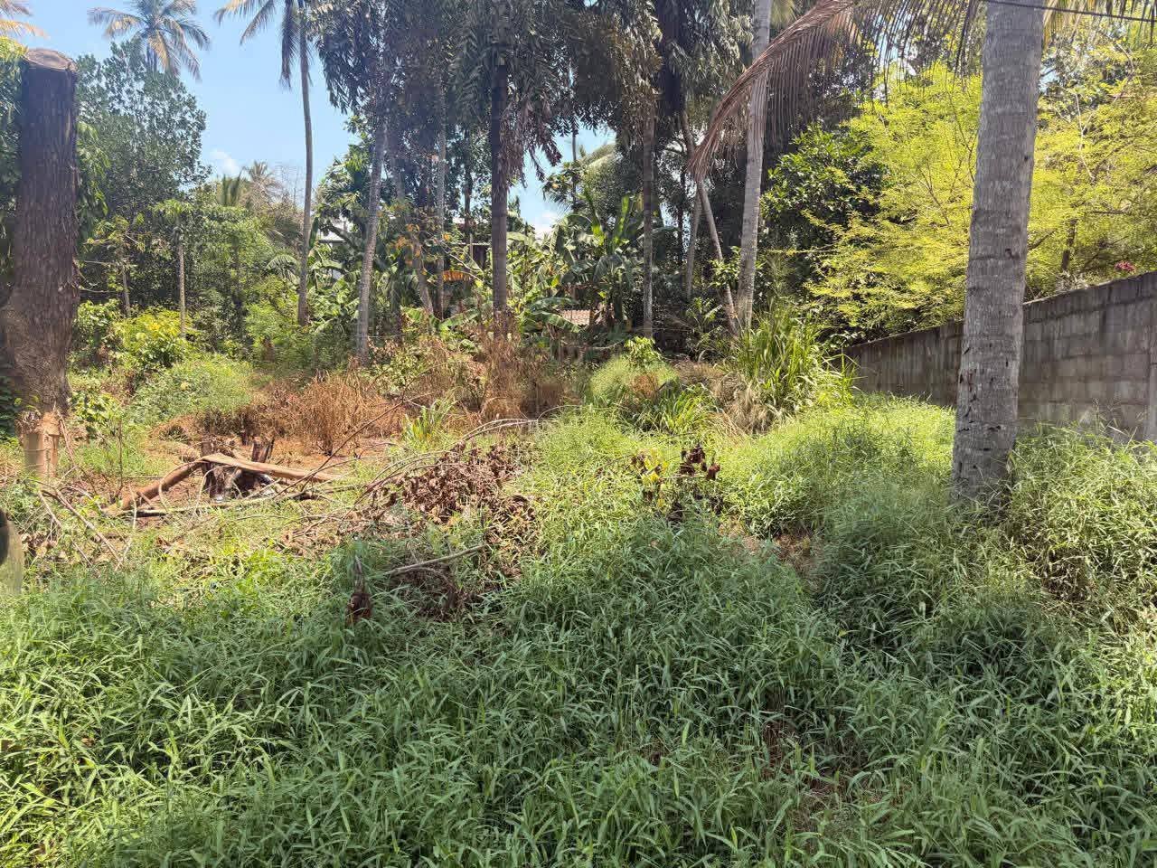 පර්චස් 10 ක බිම් කොටසක් විකිණීමට