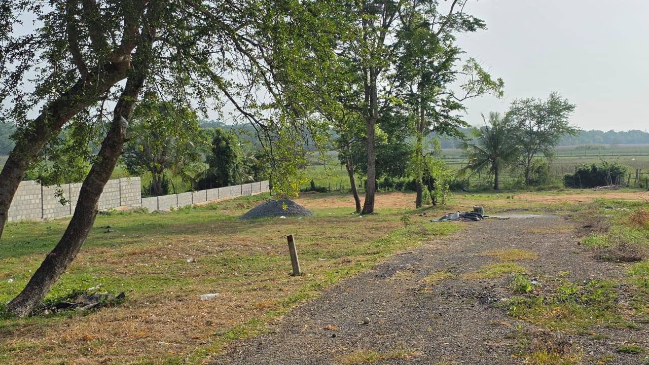 Land for sale tangalle