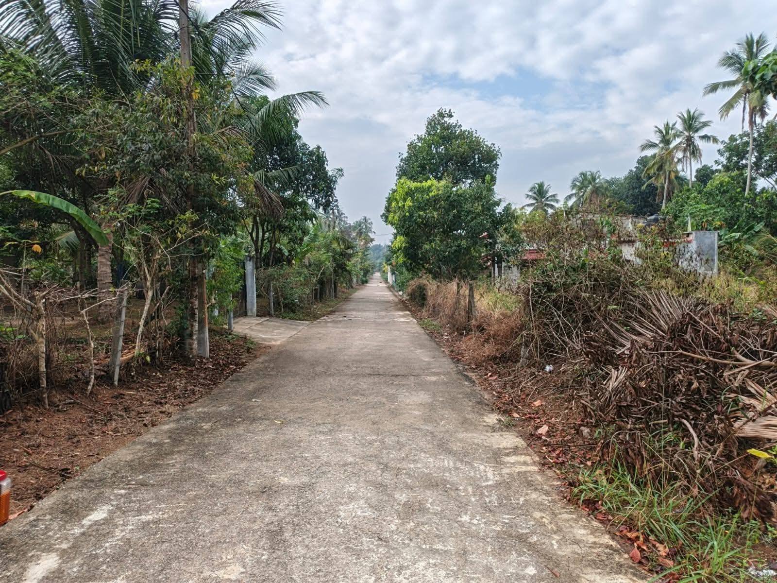 වේයන්ගොඩ ගුවන් තොටුපළ 2451 පධාන බස් පාර ( වටද්දර මෝල හන්දියේ සිට ( km 02)දුරින්