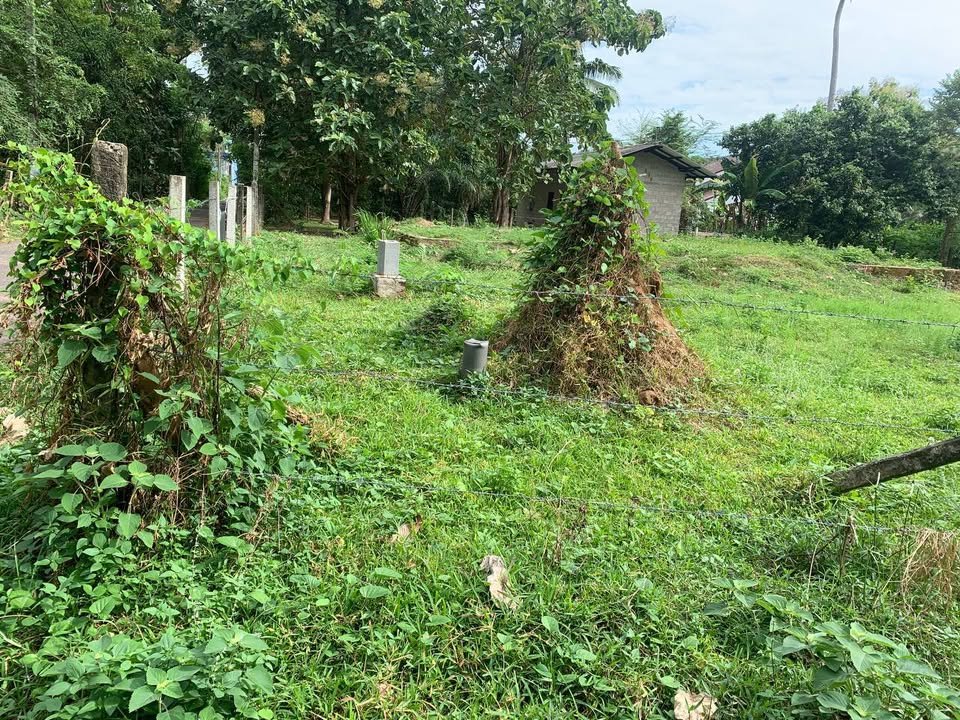 Land for sale in Negombo