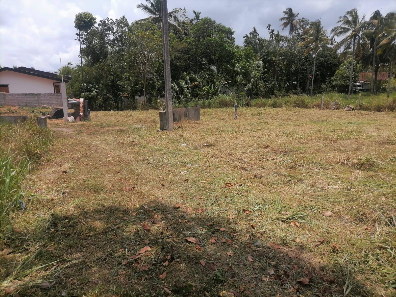 ගම්පහ යක්කල නගරයේ පිහිටි මෙම අගනා බිම් කොටස ඉතා ඉක්මනින් විකිණීමට