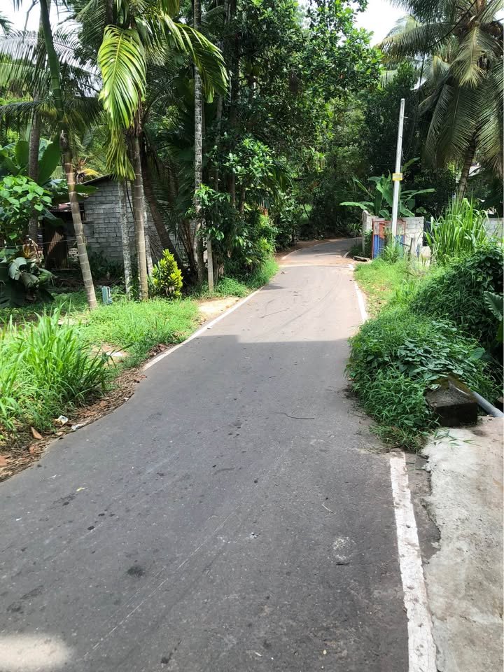 ගම්පහ ගනෙමුල්ල කොස්සින්න පර්චස් 24ක ඉඩම විකිණීමට.